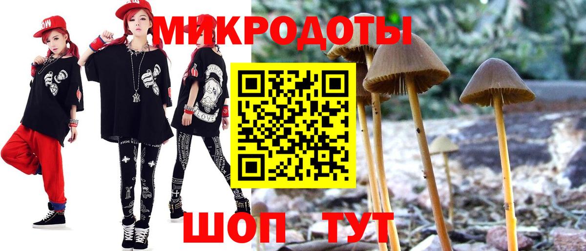 Галлюциногенные грибы Psilocybe Норильск