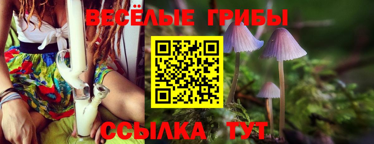 Галлюциногенные грибы ЛСД  Вход с VPN  Норильск 